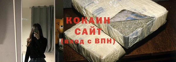 ГАЛЛЮЦИНОГЕННЫЕ ГРИБЫ Рославль