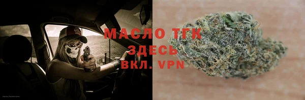 индика Аркадак
