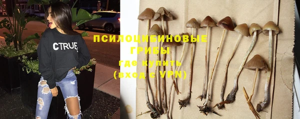 MESCALINE Армянск