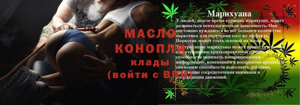 индика Аркадак