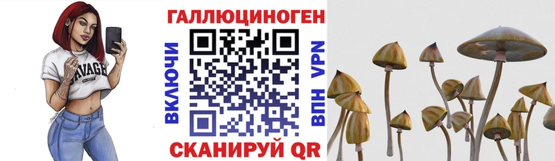 Псилоцибиновые грибы Psilocybe  наркота  Асино 